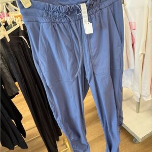 Lululemon Blue Jogger Pants